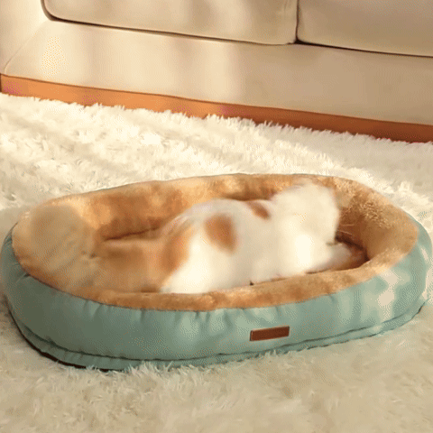 panier coussin pour chats confort mouvement utilisation