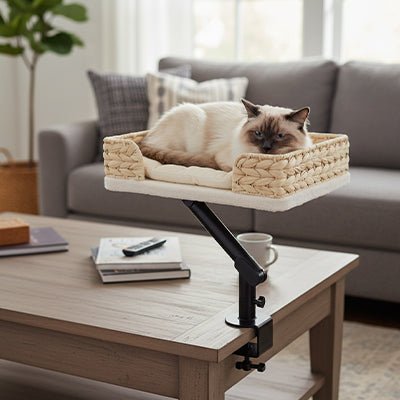 Panier de bureau pour chat installé dans un salon beige chic avec chat allongé confortablement