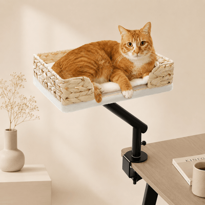 Panier design pour chat suspendu avec fixation réglable installé sur une table moderne