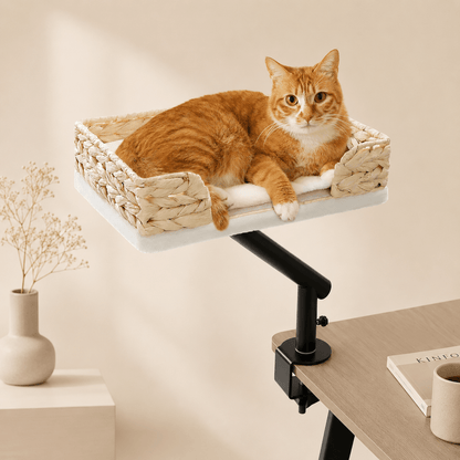 Panier design pour chat suspendu avec fixation réglable installé sur une table moderne