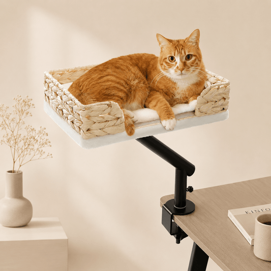 Panier design pour chat suspendu avec fixation réglable installé sur une table moderne