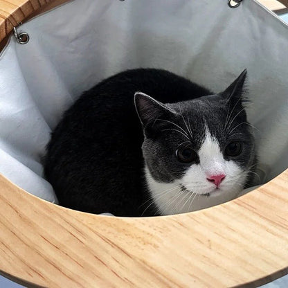 chat repose confortablement dedans panier mural chat ChatLuxe