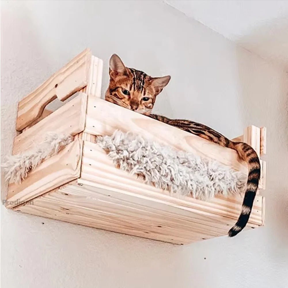 chat bengal couché dans panier mural chat
