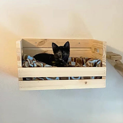 chaton couché dans un panier mural chat securisé