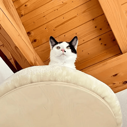chat noir blanc assis panier mural Chat bois P'tit Nid Rond
