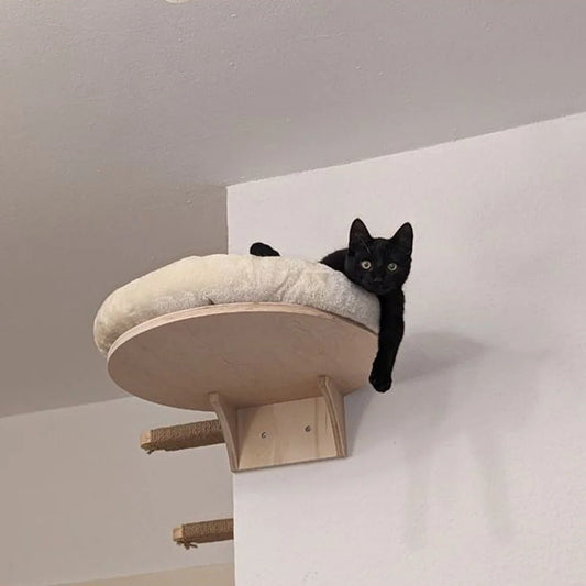 chat noir couché dessus panier mural chat P'tit Nid Rond