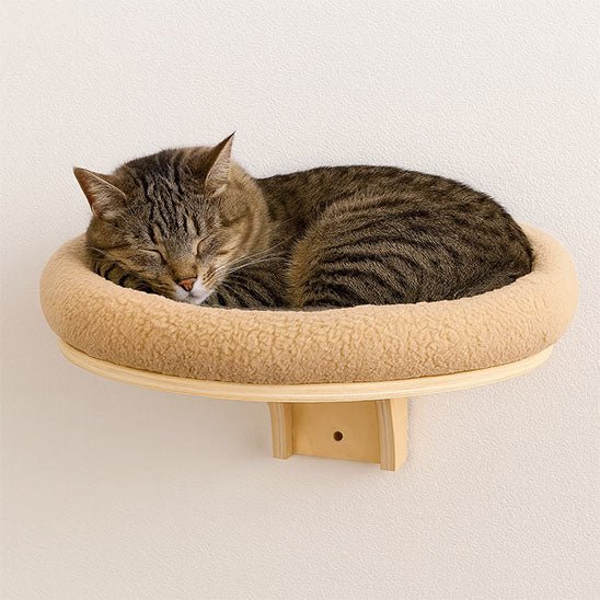 chat endormi dans panier mural chat confortable ptit nid rond