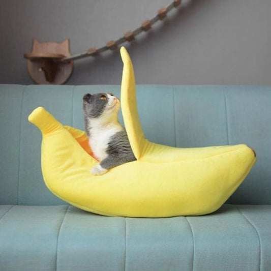 minou sent panier pour chat BanaChat