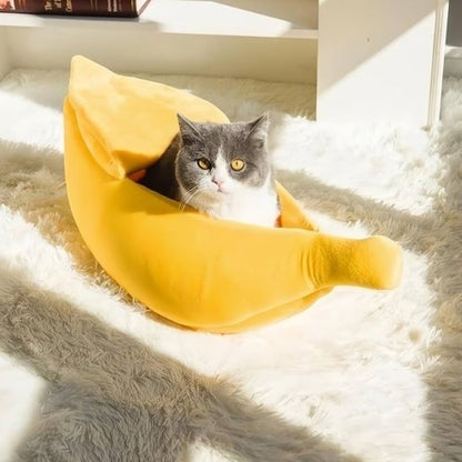 Gros minet couché dans panier pour chat BanaChat