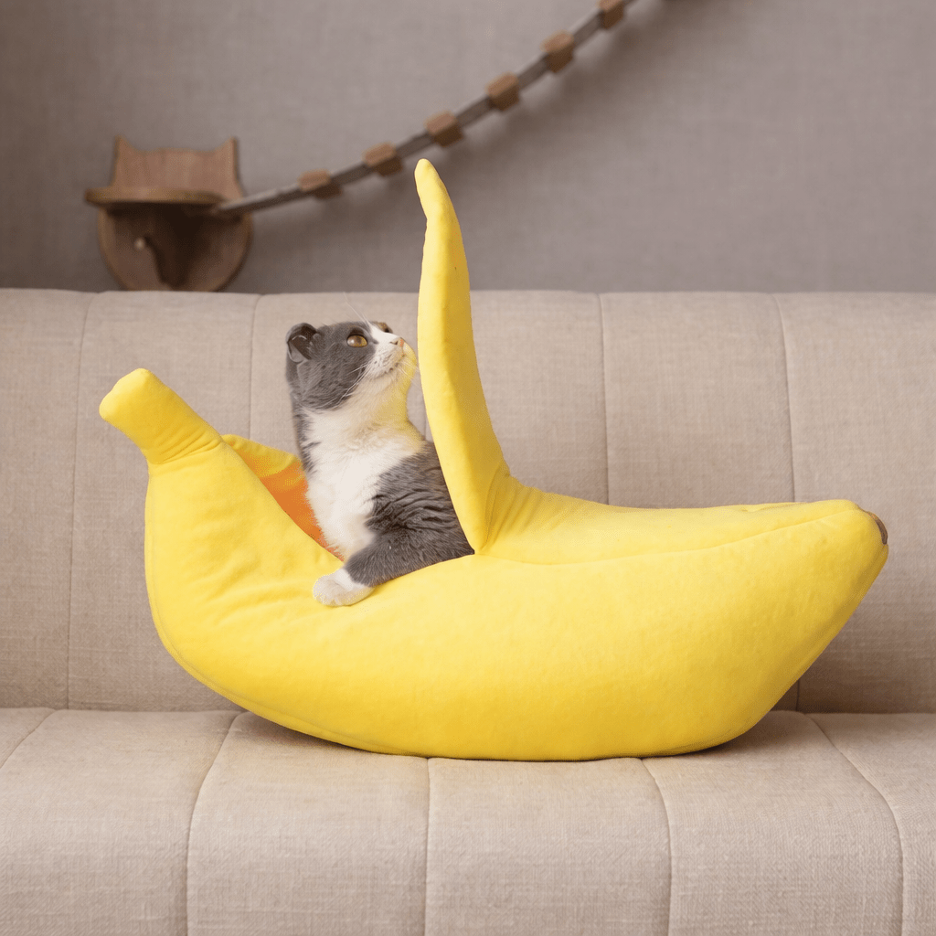 panier pour chat banane confortable design intérieur chat