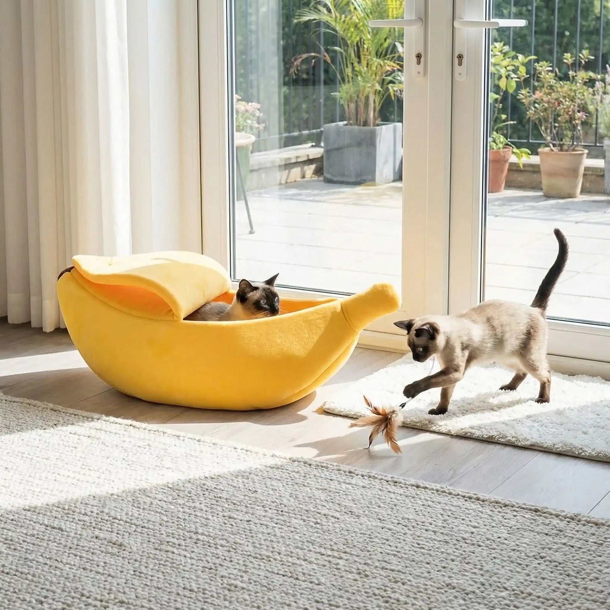 panier pour chat banane utilisation maison chat joue