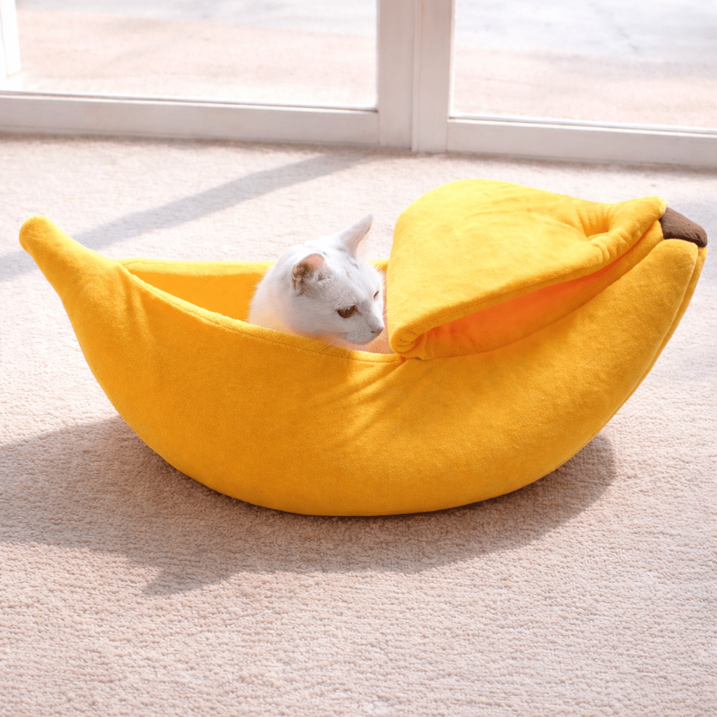 panier pour chat banane lit doux chat blanc intérieur lumineux