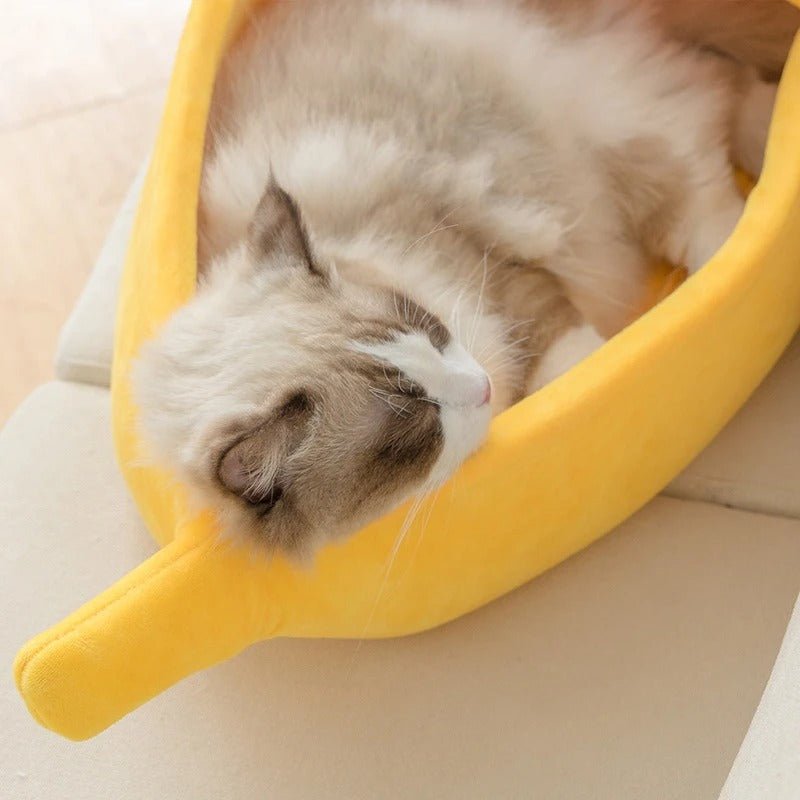 panier pour chat banane chat dort confort cocon