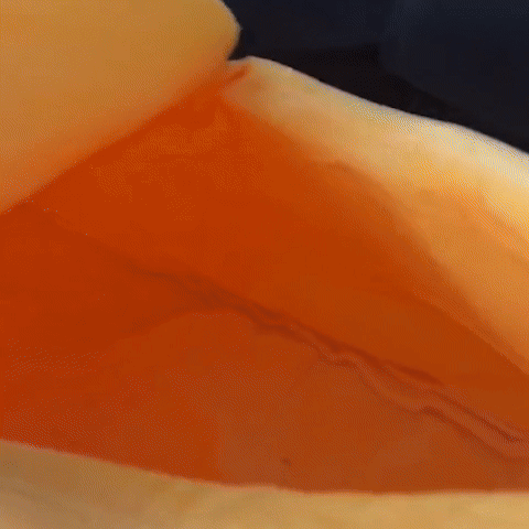 panier pour chat banane utilisation vidéo chat