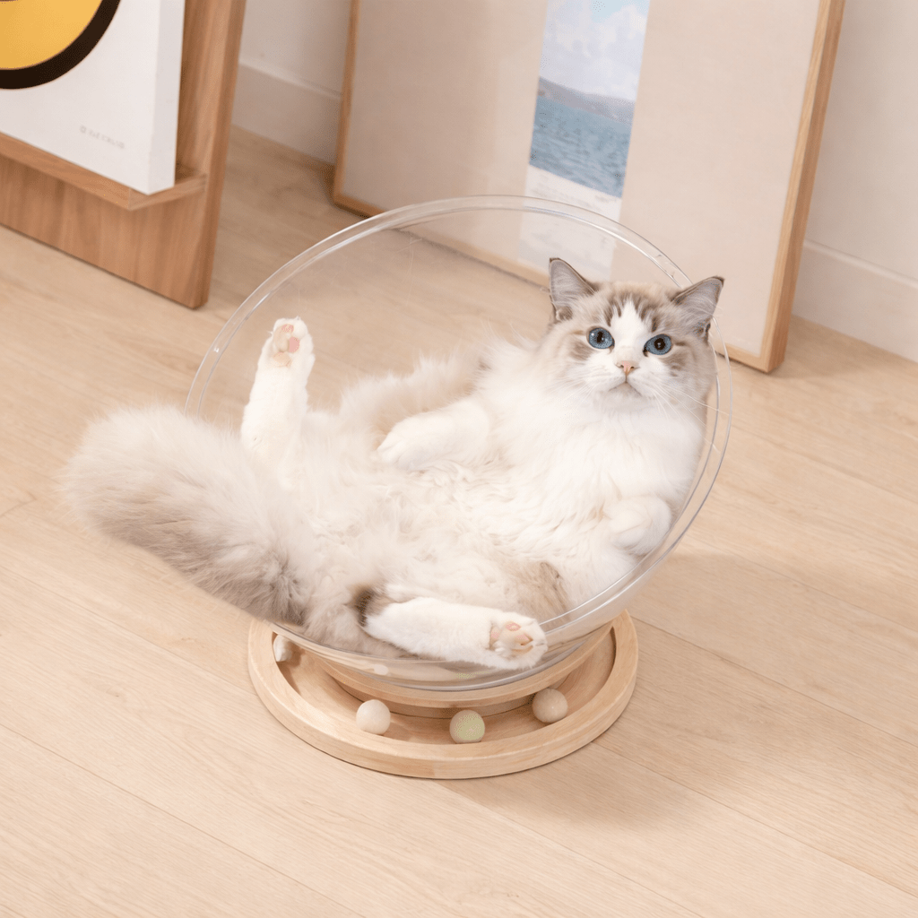 panier pour chat confortable chat détendu capsule