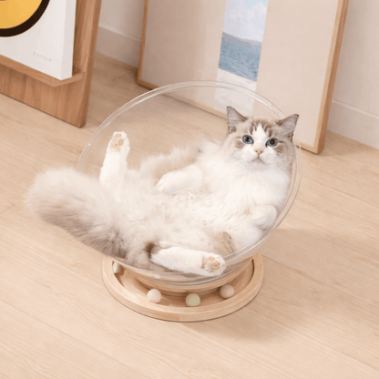 panier pour chat confortable chat détendu capsule