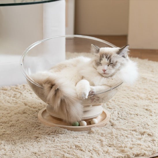 panier pour chat capsule transparente design beige