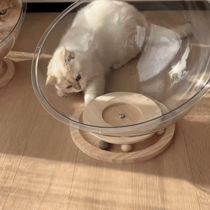 panier pour chat capsule vidéo utilisation