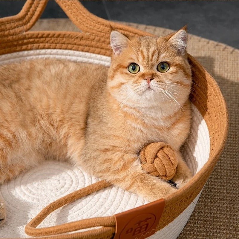 panier pour chat en rotin avec corde et balle chat roux