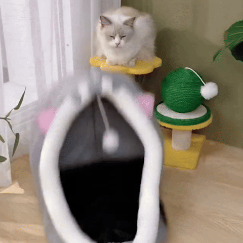 panier pour chat intéractif chat joue avec balle suspendue