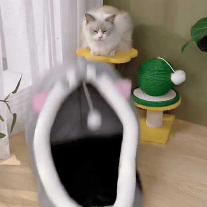 panier pour chat intéractif chat joue avec balle suspendue