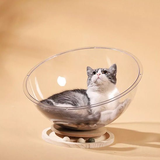 chaton couché dans panier pour chat plastique LunaNid