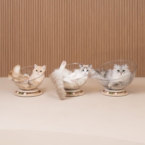 trois chats couchés dans chacun leur panier pour chat LunaNid