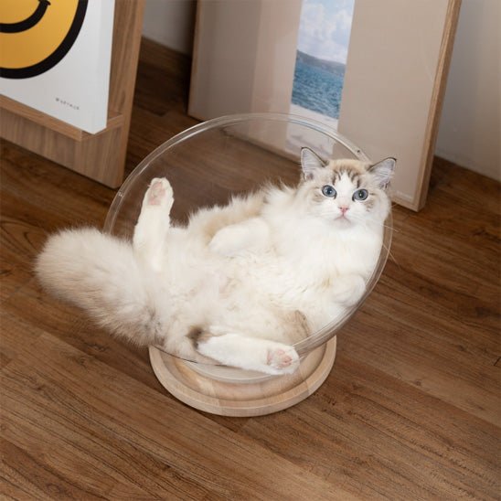 chat couché sur dos dans panier pour chat bulle LunaNid