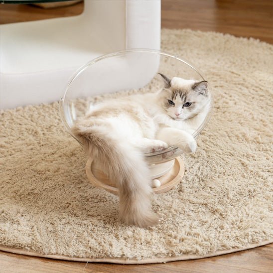 chat blanc dans panier pour chat LunaNid