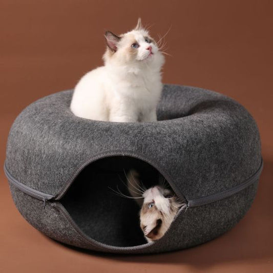 chat blanc assis dessus panier pour chat nid de ronrons