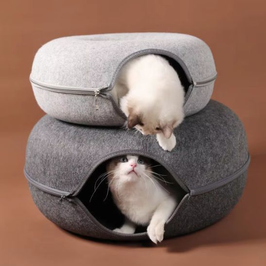 deux chats dedans deux panier pour chat nid de ronrons