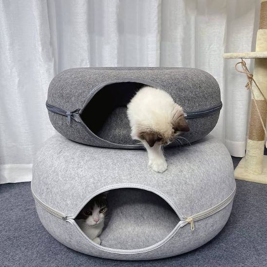 chat descend panier pour chat nid de ronrons