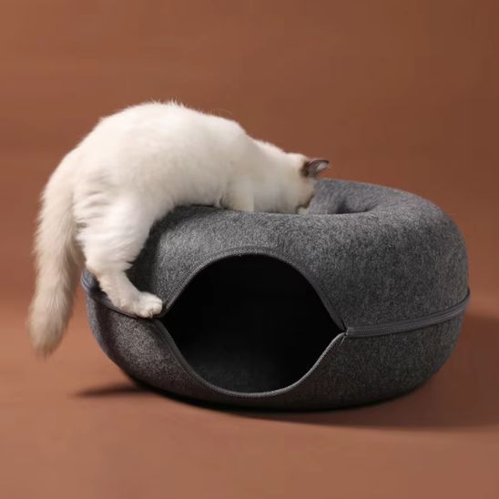 chat monte dessus panier pour chat nid de ronrons