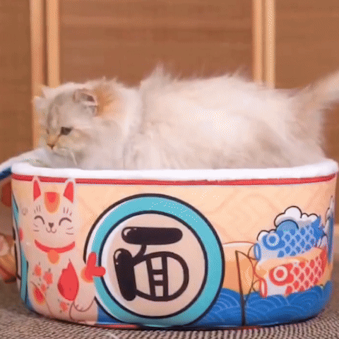 panier pour chat ramen gif utilisation chat
