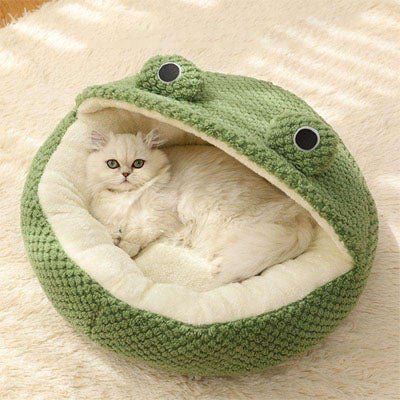 chat blotti dans panier pour chat semi fermé siesta frog