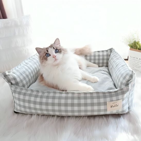 panier pour chat xxl avec chat confortable