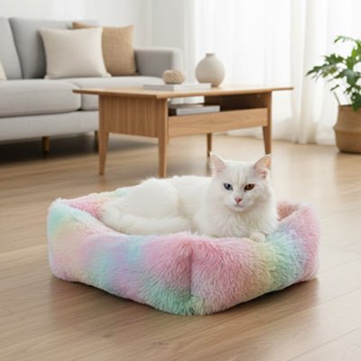 panier pour chat xxl confort maison chat détendu