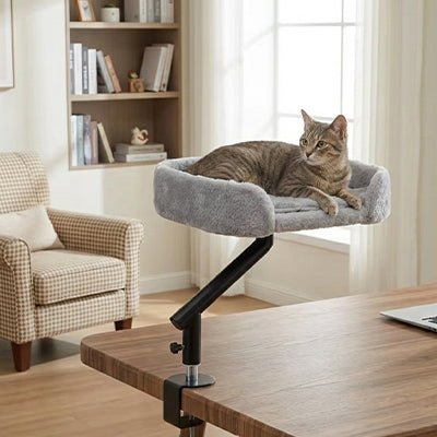 chat gris reposant dans un panier suspendu surélevé