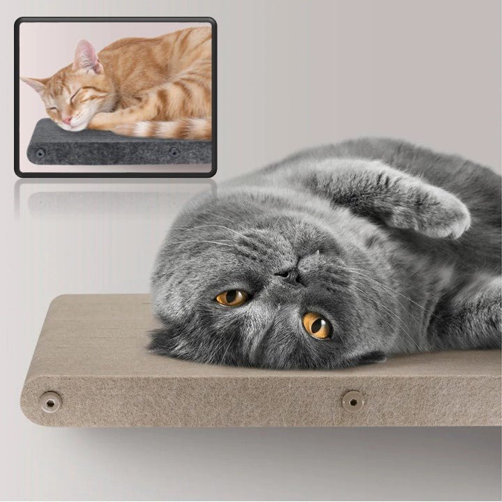 PETIT ARBRE A CHAT - MURIFY - B - Passion Murale