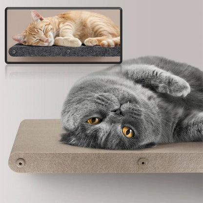 PETIT ARBRE A CHAT - MURIFY - F - Passion Murale