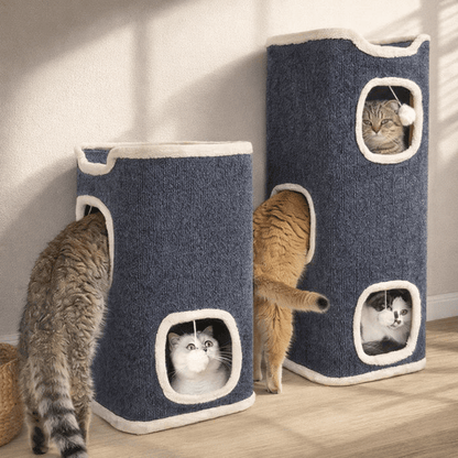 plusieurs chats utilisent petit arbre chat