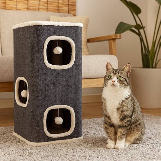 chat assis côté petit arbre chat gris NatureClaw