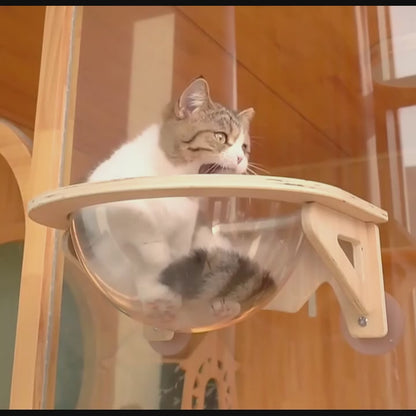 gif panier mural chat avec chat qui joue et se repose dans un hamac fenêtre