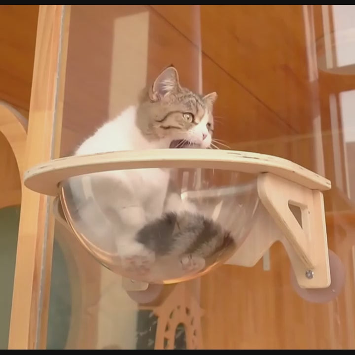 gif panier mural chat avec chat qui joue et se repose dans un hamac fenêtre