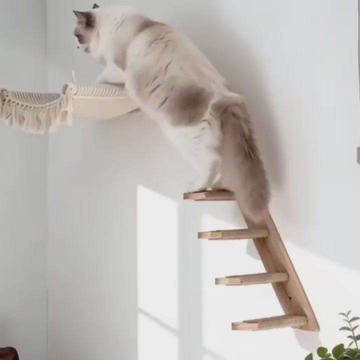 Chat découvrant et utilisant un hamac mural chat en macramé et bois naturel, fixé au mur pour offrir un espace de repos confortable en hauteur