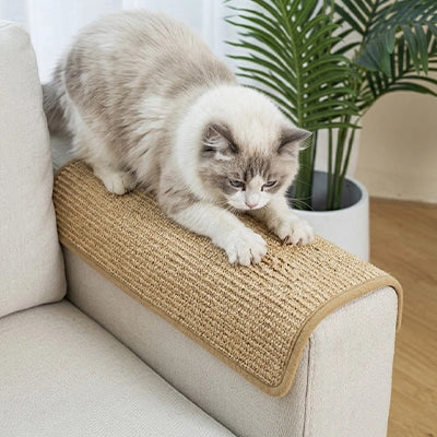 Protection canapé Chat - tapis en sisal naturel placé sur un accoudoir arrondi
