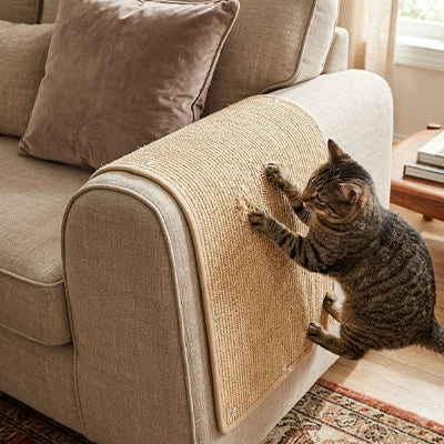 Protection canapé Chat - chat utilisant le sisal pour faire ses griffes sur le canapé
