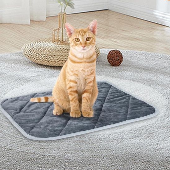 tapis chauffant chat utilisation maison sol panier