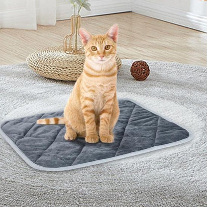 tapis chauffant chat utilisation maison sol panier