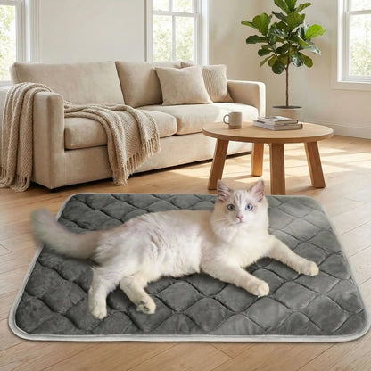 tapis chauffant pour chat confortable maison